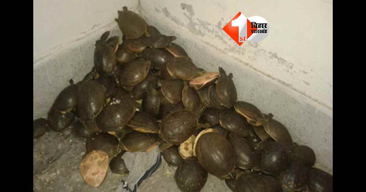 Bihar Crime News
