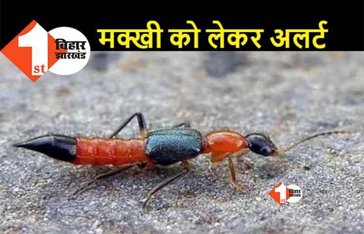नैरोबी मक्खी को लेकर पूर्णिया में अलर्ट जारी, लोगों से सतर्क रहने की अपील