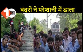 बंदरों के उत्पात से टूटा रेलवे का ओवरहेड वायर, गोरखपुर-नरकटियागंज रेलखंड पर ट्रेनों का परिचालन हुआ बाधित