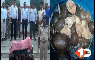 झारखंड: 39 दुर्लभ कछुआ के साथ तीन तस्कर गिरफ्तार, देवघर एयरपोर्ट से पुलिस ने दबोचा