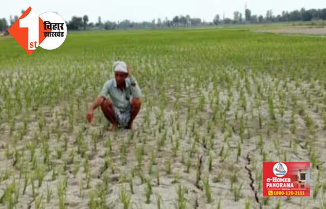 बिहार : मानसून की बेरुखी ने बढ़ाई किसानों की चिंता, इस तारीख तक नहीं है बारिश के आसार, जानें अपने जिले का हाल 