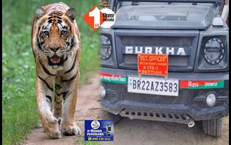 बेतिया के पुरैना गांव में बाघ के घुसने से मचा हड़कंप, पकड़ने के लिए बिछाया गया जाल  