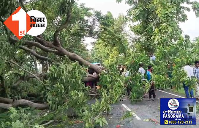 ऐसे आती है मौत..अचानक बाइक पर गिरा पेड़, युवक की मौत महिला और बच्चा घायल