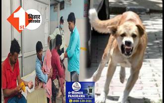 बेगूसराय में खूंखार कुत्ते का आतंक, दर्जनभर लोगों को काट कर किया घायल