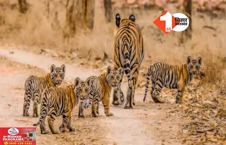 Bihar News