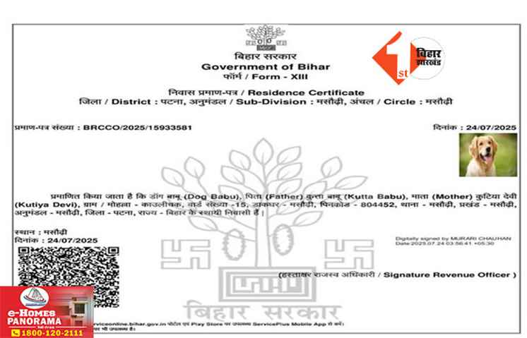 Bihar News 
