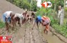 Bihar News