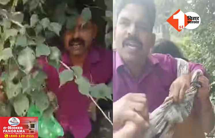 Viral Video