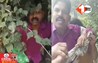 Viral Video
