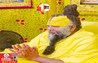 Premanand Maharaj Jee