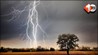 Heavy Rain Alert