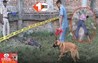 Bihar Crime News