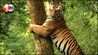 Bihar Tourism