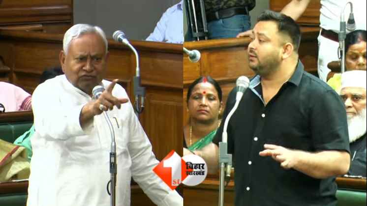 Bihar News: बिहार विधानसभा में भारी हंगामा...CM नीतीश हो गए खड़े और लालू-राबड़ी राज पर तेजस्वी को खूब सुनाया