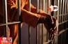 Bihar Crime News