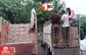 Bihar Crime News
