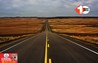 White Dashed Line 