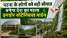 Patna News