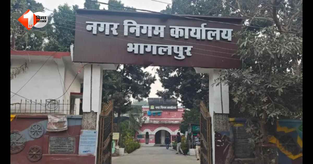 करोड़ों की स्ट्रीट लाइट योजना में बड़ा खेल? पास टेंडर रद्द कर चौथी बार निकली निविदा, निगम की प्रक्रिया पर उठे सवाल