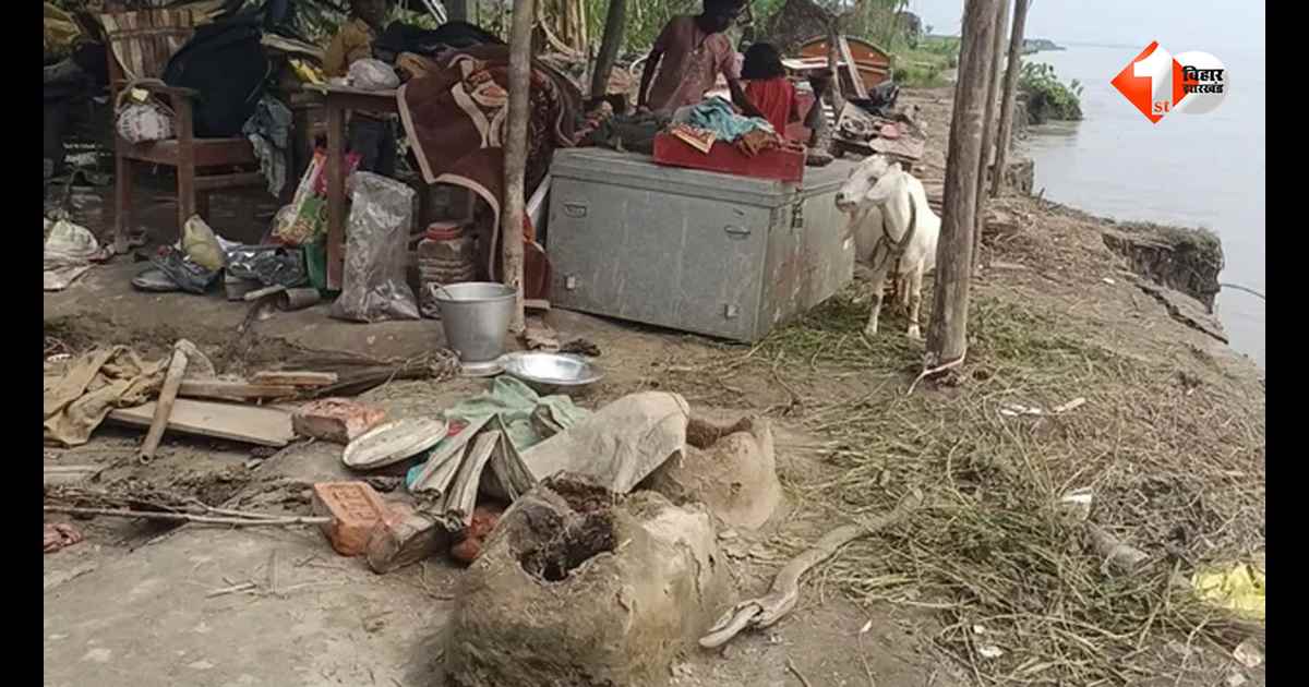 बिहार में कोसी का कहर, हर दिन नदी निगल रही जमीन; 35 परिवार बेघर, सैकड़ों घरों पर मंडरा रहा खतरा