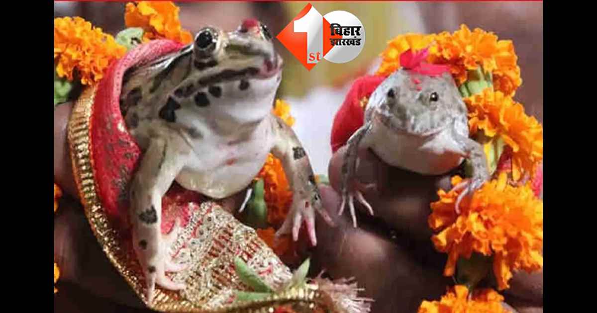 छत्तीसगढ न्यूज