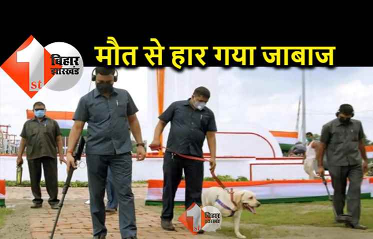 बिहार : अब नहीं दिखेगा 'तेजा' का तेज, आग से कूदकर निकलने में था माहिर