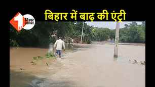 catagory