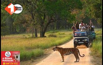 वाल्मिकी टाइगर रिजर्व में जंगल सफारी और बोटिंग पर लगी रोक, जानिए.. पूरी वजह