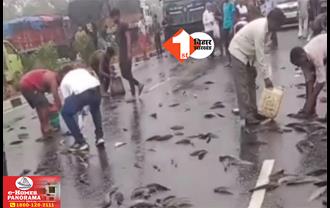 अनियंत्रित होकर बीच सड़क पर पलटा पीकअप वैन : लोगों में मछली लूटने की मच गई होड़
