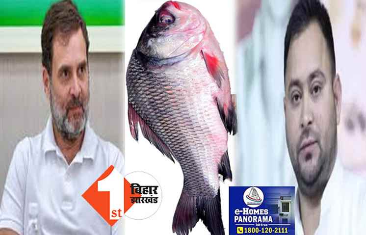 राहुल गांधी को मटन के बाद मछली का भोज देंगे तेजस्वी: कतला- फ़्राइड और झोर वाले रोहू का होगा इंतजाम