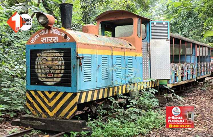 पटना जू में जल्द चलेगी टॉय ट्रेन, खर्च होंगे करीब 10 करोड़ रुपए; मंत्री ने दिए अहम निर्देश 