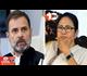 स्पीकर चुनाव: I.N.D.I.A को मिला ममता का साथ: वोटिंग से पहले राहुल ने TMC चीफ को मनाया, सामने आई थीं नाराजगी की बातें