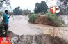 Bihar News
