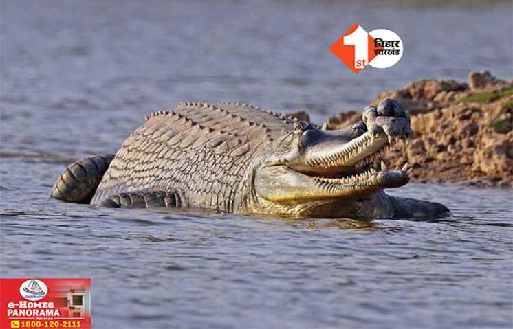 Bihar News