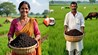 Bihar News
