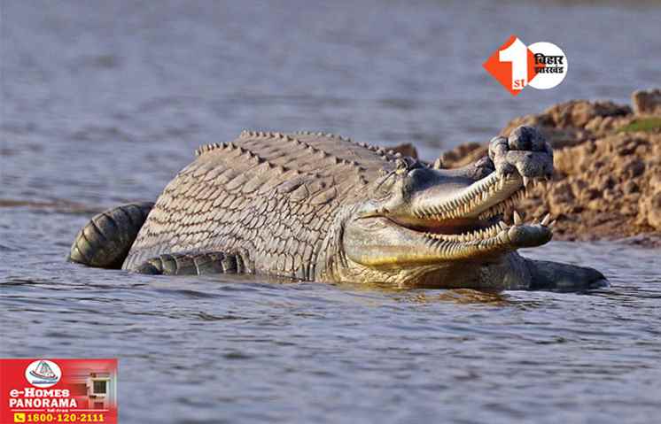 Bihar News