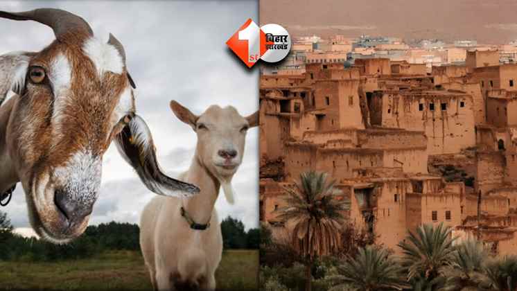Bakrid 2025