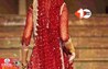 Bihar News