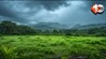 Monsoon 2025