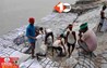 Bihar News