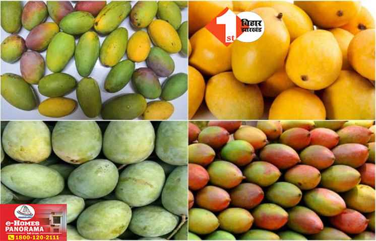 Bihar News