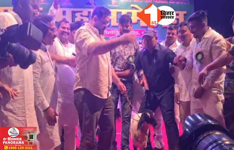 Bihar Politics