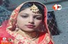Bihar Crime News