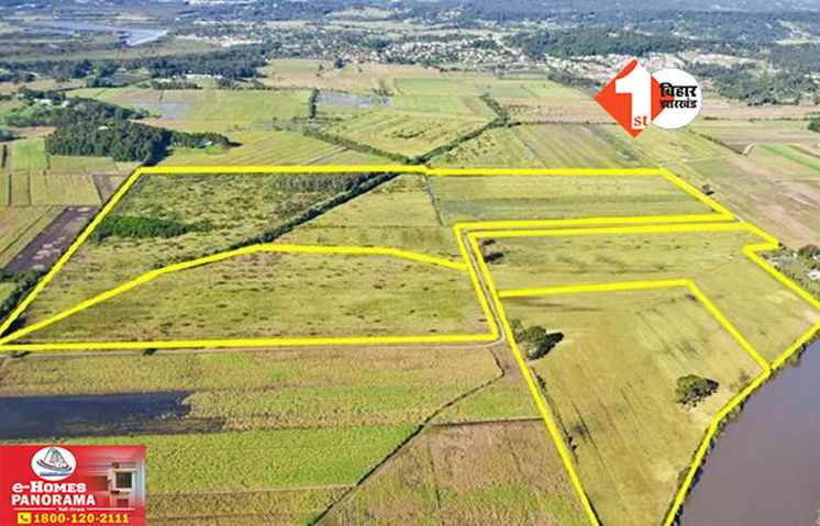 Bihar Land News: DM को मिला एक और बड़ा अधिकार, भूमि विवाद निपटाने में सरकार का बड़ा फैसला