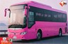 Pink Bus in Bihar