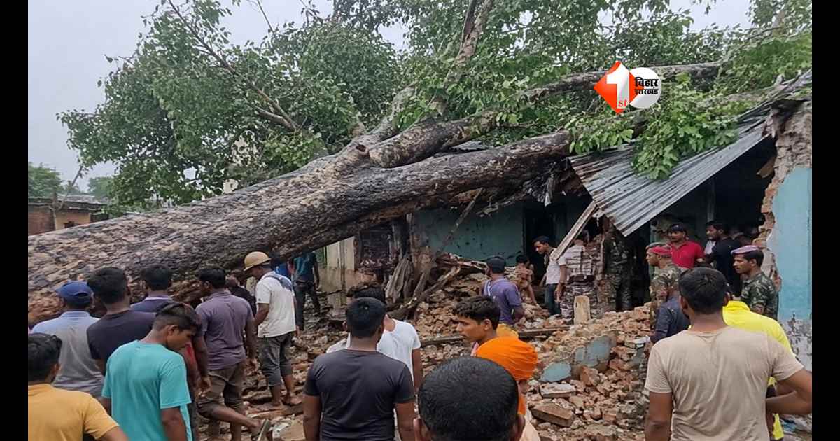 Bihar News : एक झटके में उजड़ गया पूरा परिवार! सीतामढ़ी में घर पर गिरा विशाल पीपल का पेड़, 5 की दर्दनाक मौत
