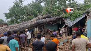 bihar news image