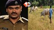 उत्तर प्रदेश न्यूज