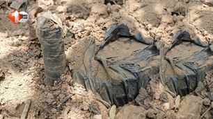 bihar news image
