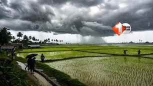 bihar news image